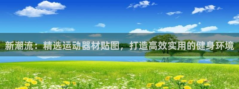 凯捷体育集团E.ON:新潮流:精选运动器材贴图,打造高效实用