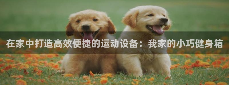 凯捷体育招商电话是多少号码:在家中打造高效便捷的运动设备:我