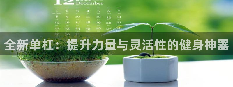 凯捷体育招商电话是多少啊:全新单杠:提升力量与灵活性的健身神