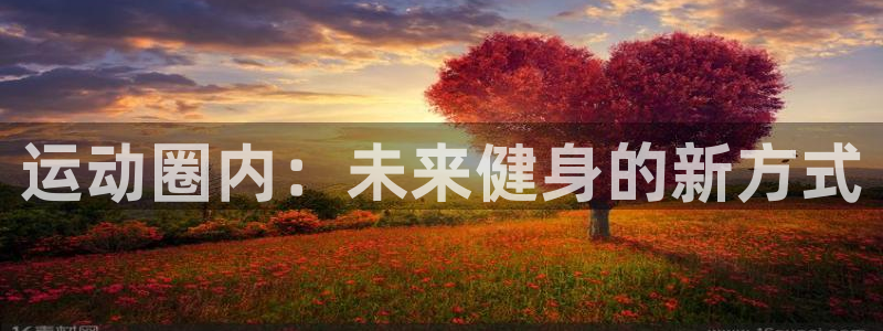 海南凯捷体育:运动圈内:未来健身的新方式