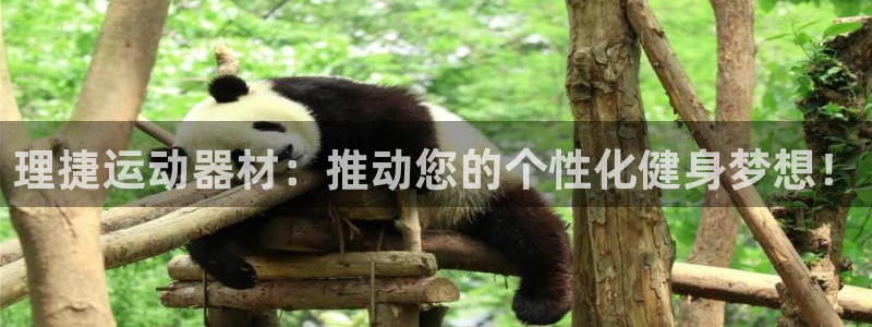 凯捷体育科技:理捷运动器材:推动您的个性化健身梦想!