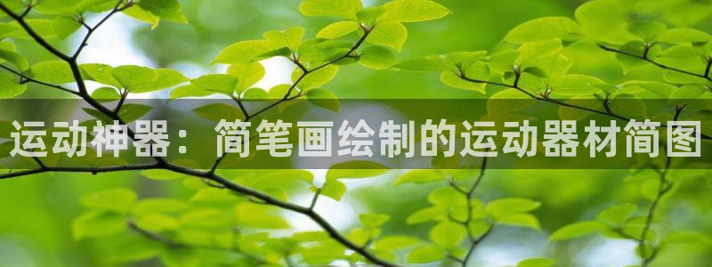 凯捷体育娱乐首页网站大全:运动神器:简笔画绘制的运动器材简图