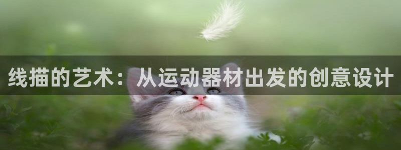 凯捷体育平台注册流程图:线描的艺术:从运动器材出发的创意设计